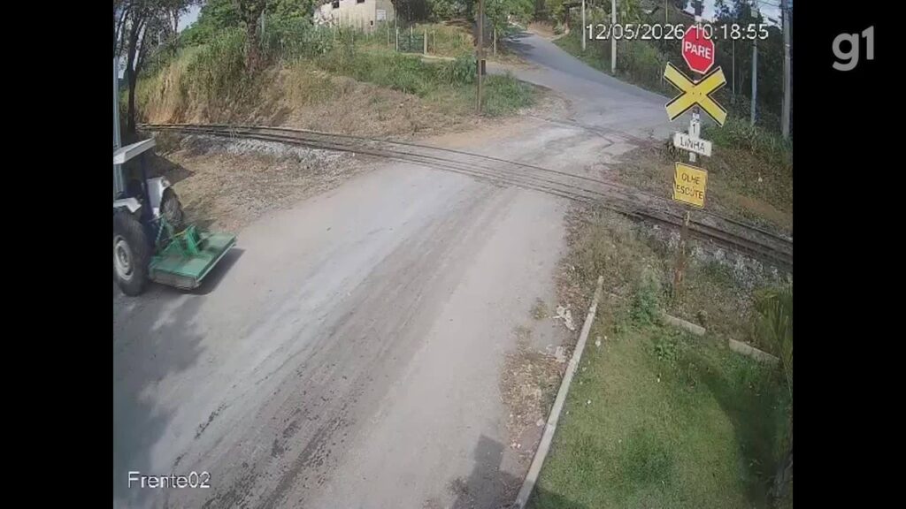 câmera flagra caminhão com porcos descendo desgovernado antes de atingir imóvel na