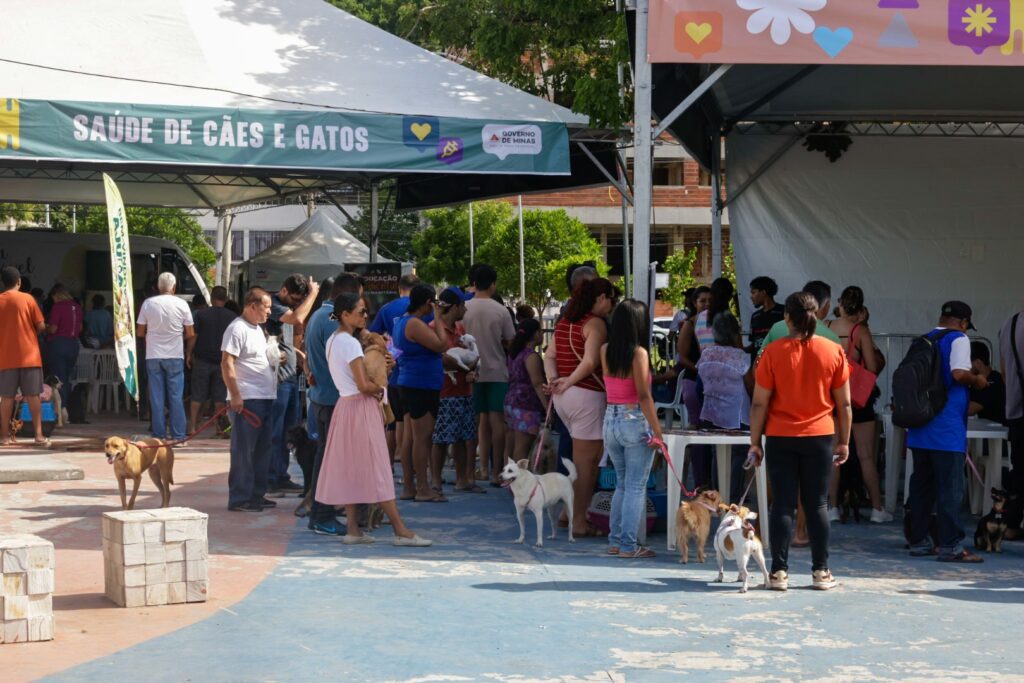 cidades como Uberlândia, Ipatinga, Ubá, Pouso Alegre, Poços de Caldas, Diamantin