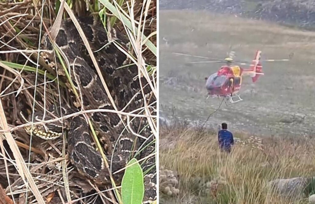 cobra na Serra do Cipó Uma mulher de 39 anos foi resgatada pelo helicóptero do C