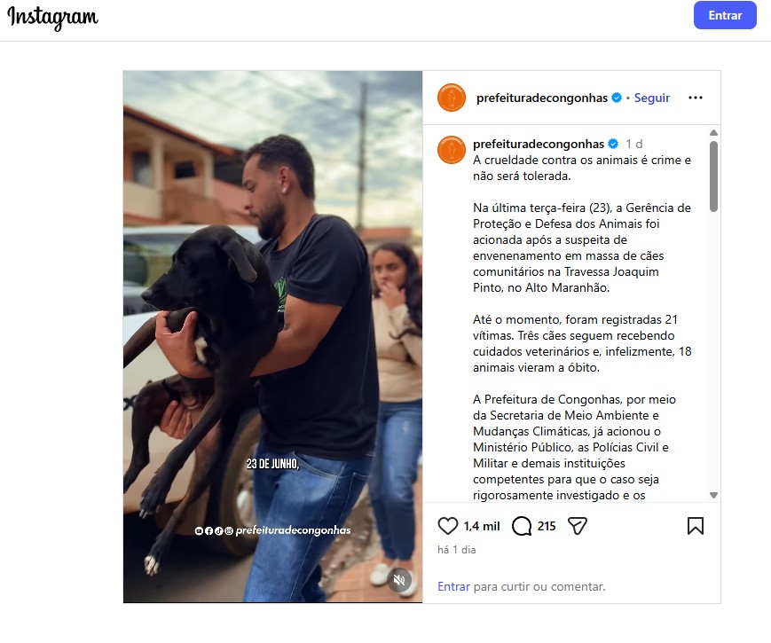 Congonhas investiga brutal envenenamento que vitimou 18 cães comunitários