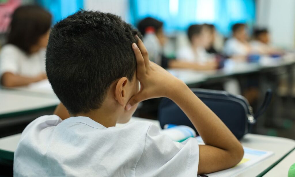Censo Escolar 2026: prazo final para coleta de dados da primeira etapa se encerra