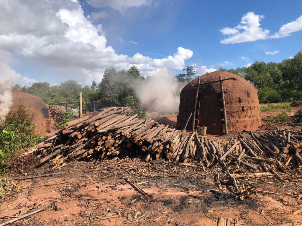 Corpo carbonizado é encontrado em forno de carvoaria e mobiliza investigação em Oliveira, MG