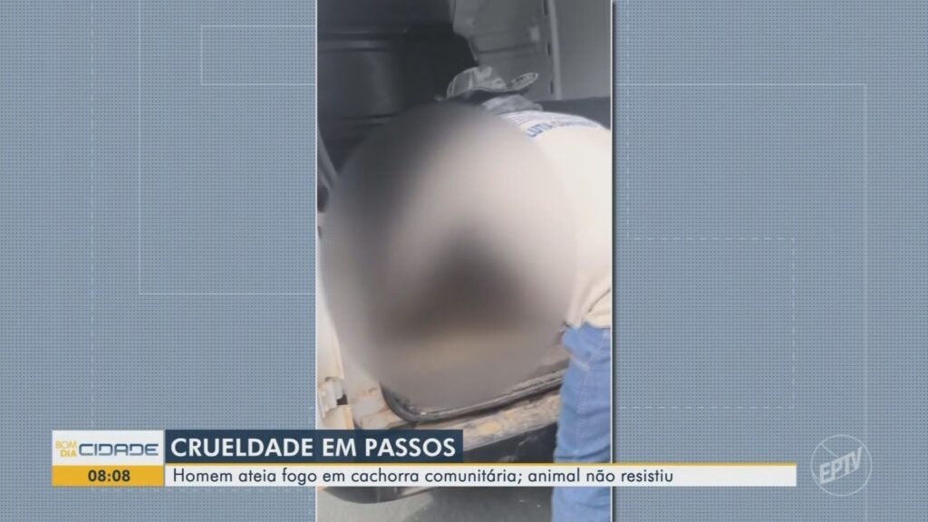 Crueldade animal em Passos: homem incendeia e mata cachorra comunitária