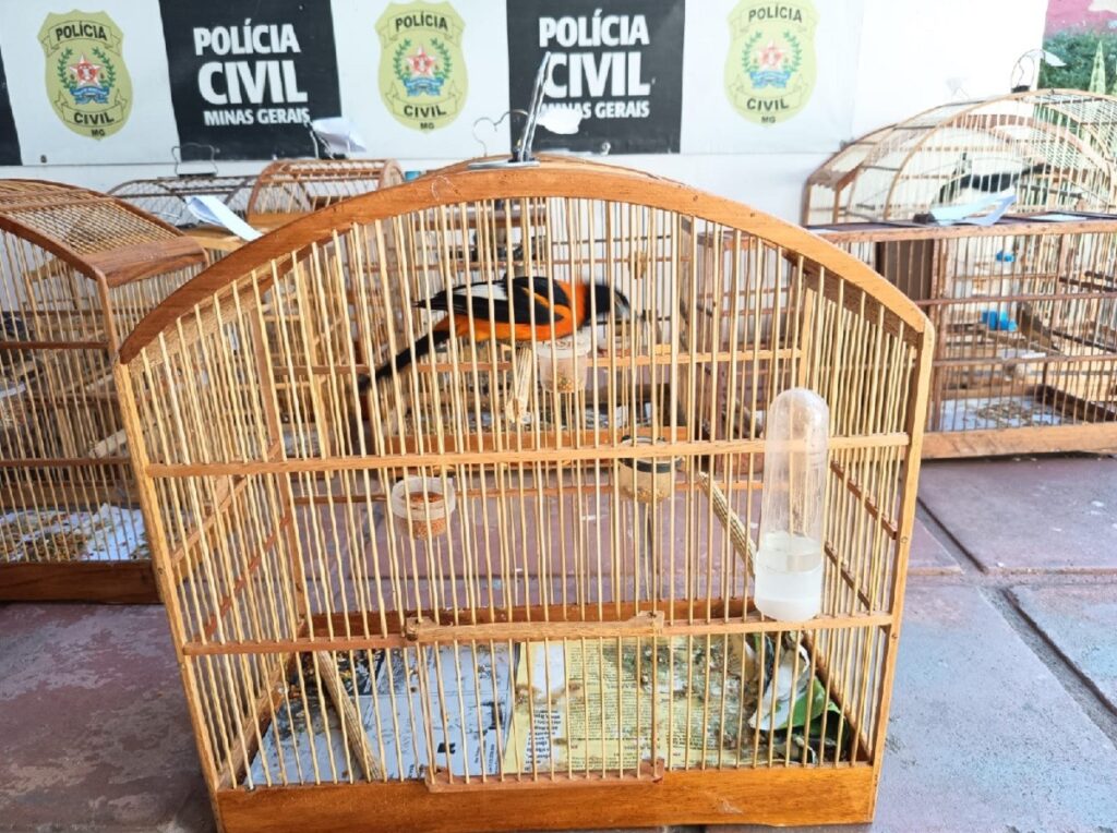 realizada pelas polícias Civil e Militar em Juiz de Fora e região Polícia Civil/Divulgação