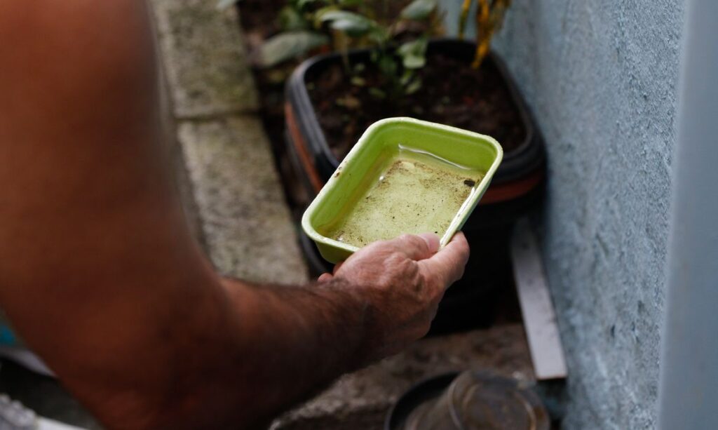 El Niño intensifica alerta para dengue e chikungunya no Brasil