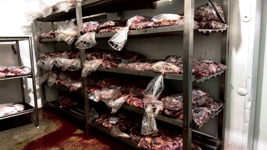 Operação conjunta em Formiga multa frigorífico em R$ 35 mil por carnes impróprias