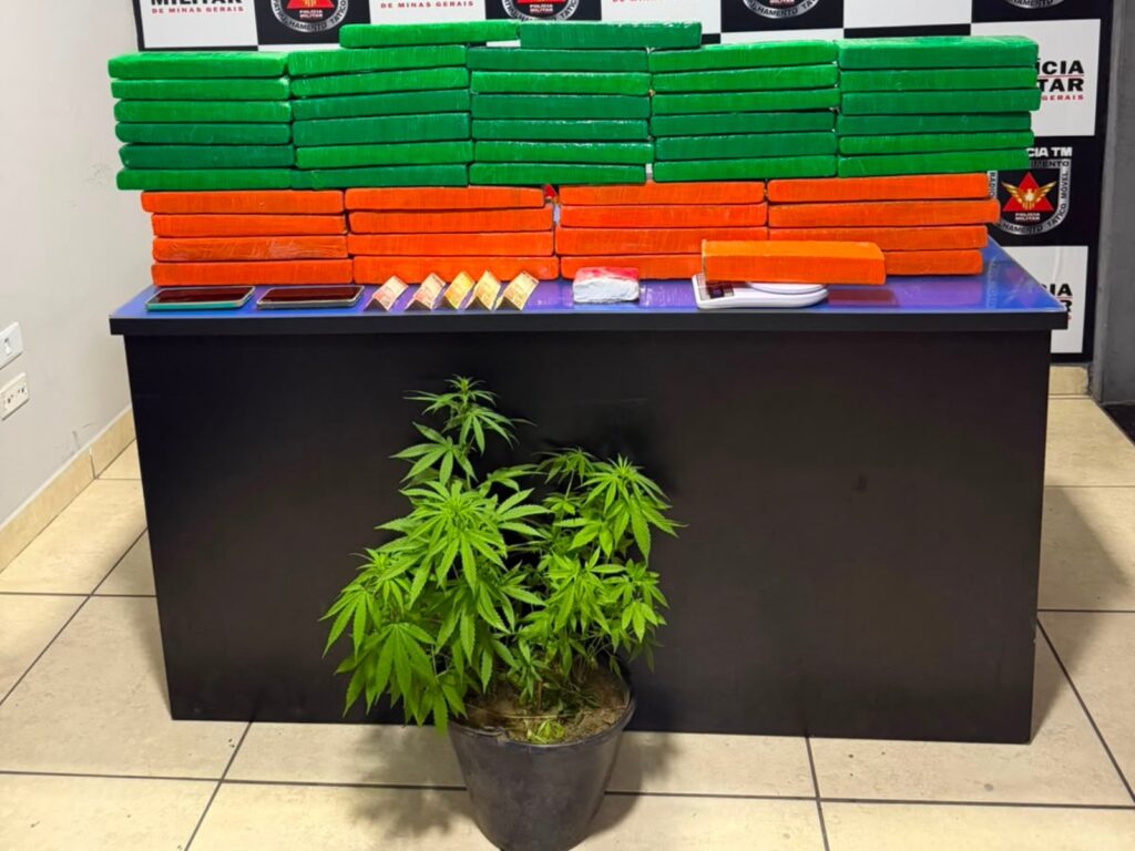 Casal é detido em Buritizeiro com 57 kg de maconha e 26 pés da planta