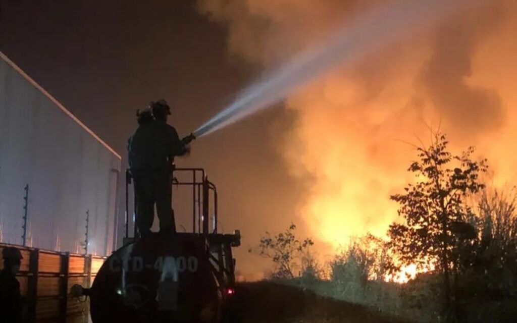 Incêndios em vegetação atingem marca de 6 mil ocorrências em Minas Gerais