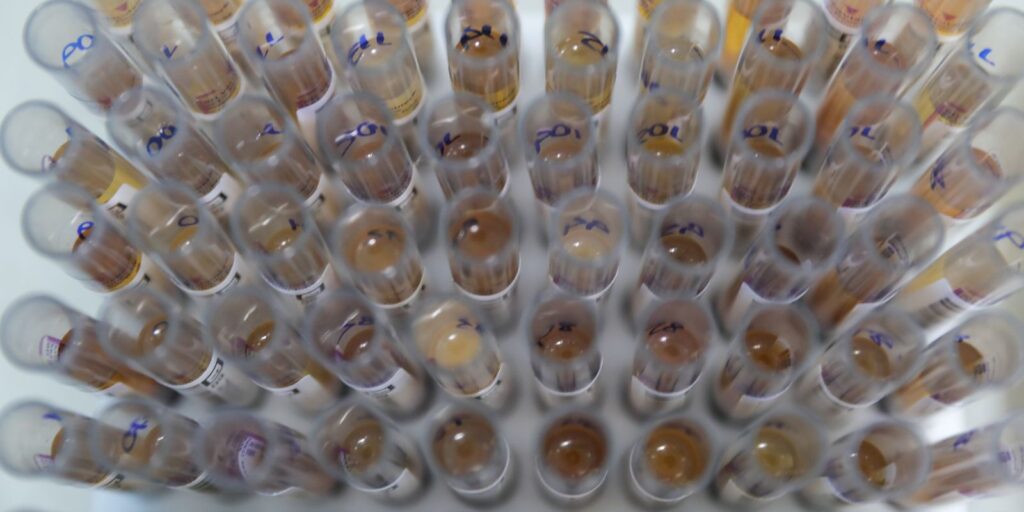 Medicamento do SUS impulsiona queda recorde de malária no Brasil