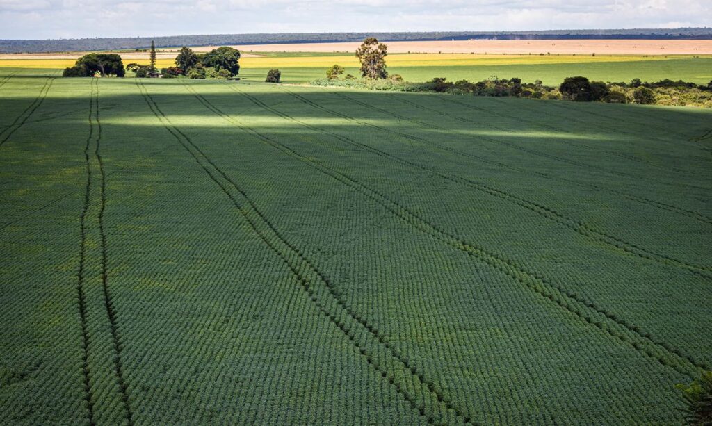 Senado aprova Profert para impulsionar produção nacional de fertilizantes