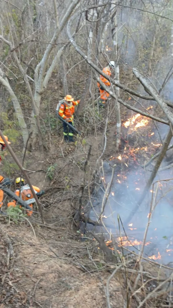 Bombeiros combatem chamas por 11 horas em 18 hectares de vegetação no Residencial Sul em Montes Claros