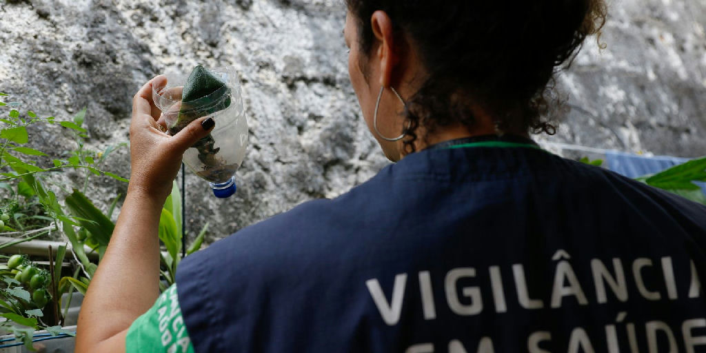 Dengue em São Paulo: estado registra quase 60 mil casos e dezenas de mortes