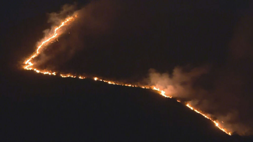 Incêndios em Minas Gerais: mais de 82 mil hectares devastados neste ano e 5 mil inquéritos abertos