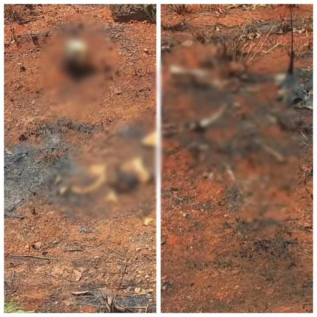 Investigação é aberta após descoberta de ossada humana em terreno de Unaí