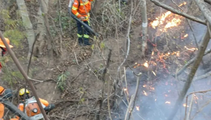 Bombeiros combatem chamas por 11 horas em 18 hectares de vegetação no Residencial Sul em Montes Claros