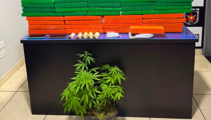 Casal é detido em Buritizeiro com 57 kg de maconha e 26 pés da planta