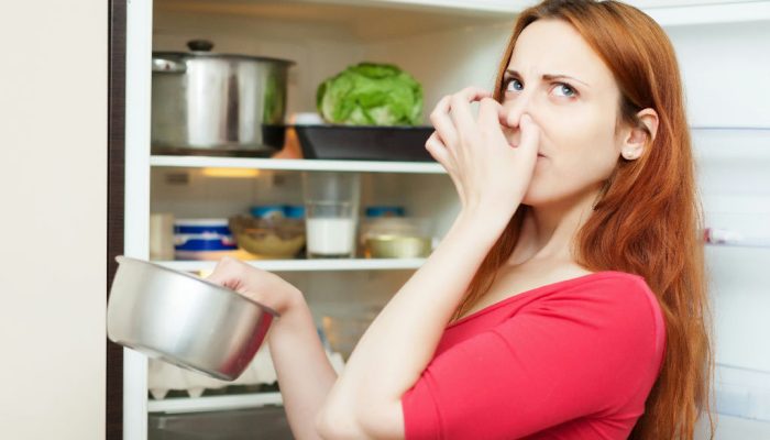 Como eliminar o mau cheiro da geladeira com dicas práticas e eficientes