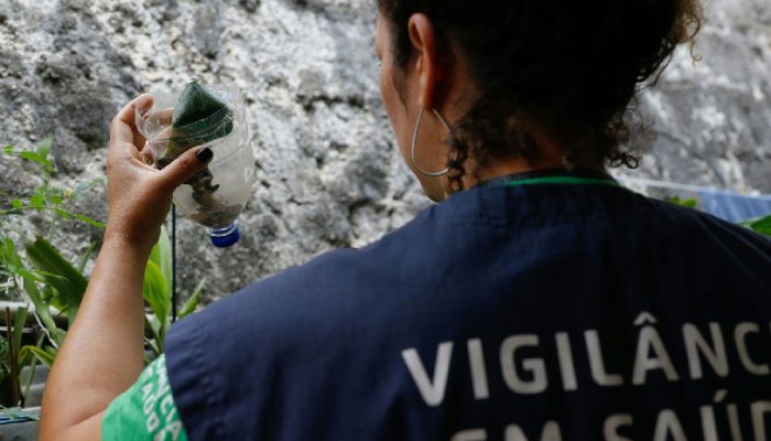 Dengue em São Paulo: estado registra quase 60 mil casos e dezenas de mortes