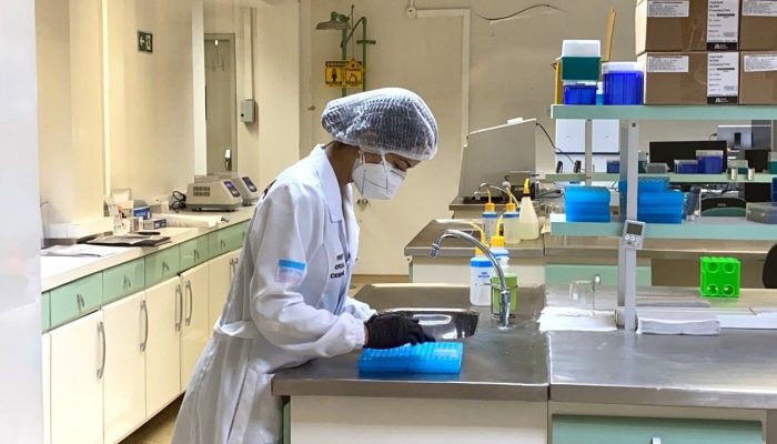 Esforço nacional para encontrar desaparecidos - coleta de DNA de familiares amplia banco genético