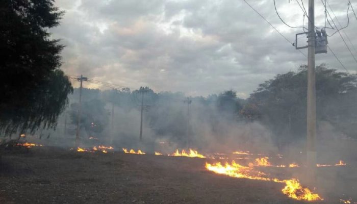 Falta de energia atinge 3,6 mil clientes no Norte de MG por queimadas em 2026, diz Cemig