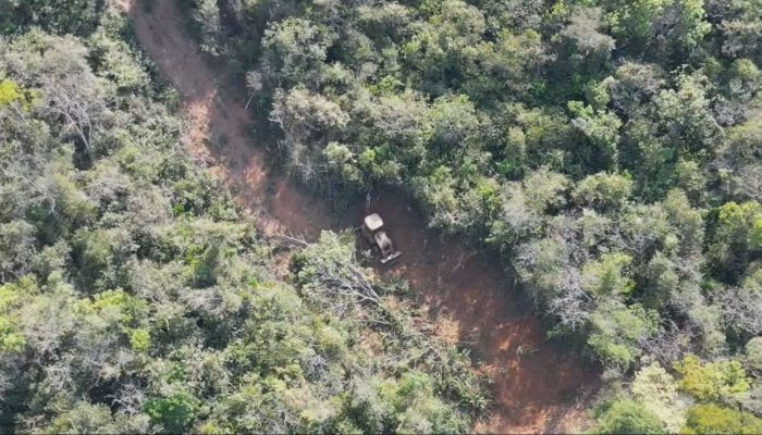 tapumes altos, mas moradores tentam acompanhar o que acontece por pequenas frest