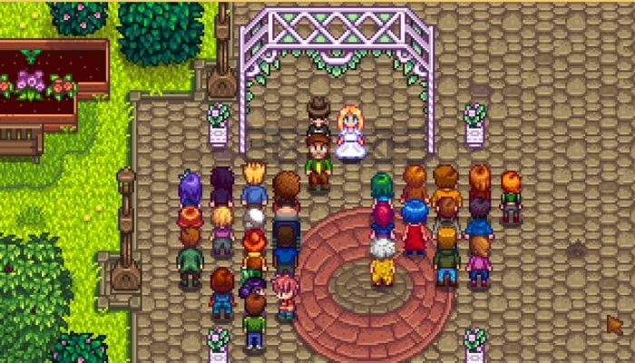 Foto: Reprodução/Stardew Valley Wiki - Fandom