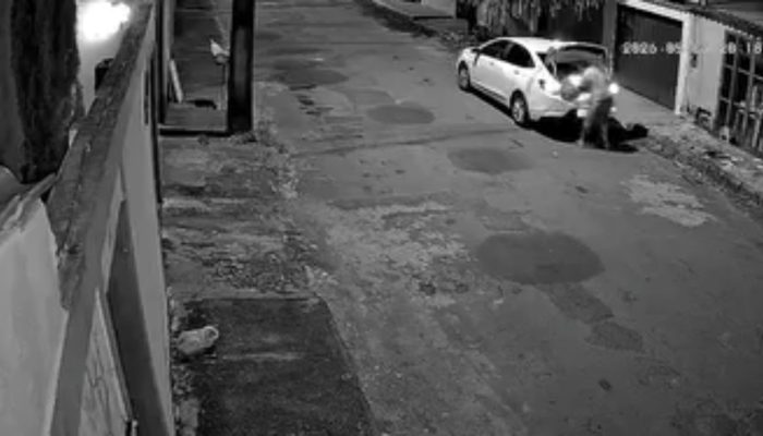 tratos Cachorro sendo abandonado Reprodução/Redes Sociais