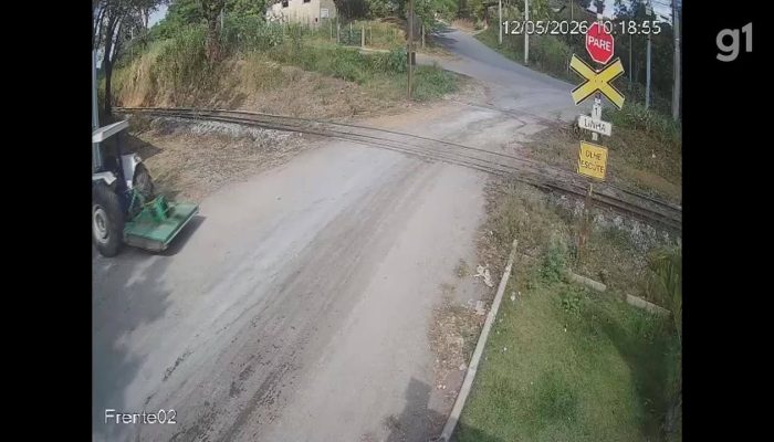 câmera flagra caminhão com porcos descendo desgovernado antes de atingir imóvel na