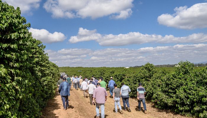 pesquisadores e têm acesso aos resultados das pesquisas aplicadas no campo. O ev
