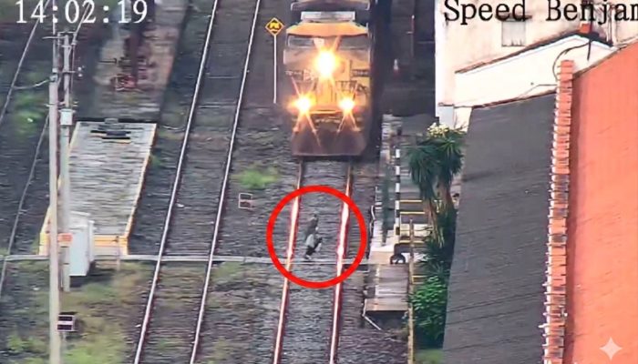 Pedeestre se arrisca na linha do trem em Juiz de Fora MRS Logística/Divulgação