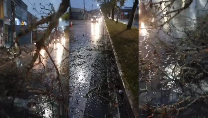 al, foram registradas rajadas de vento de aproximadamente 70 km/h. 📲 Siga a pág