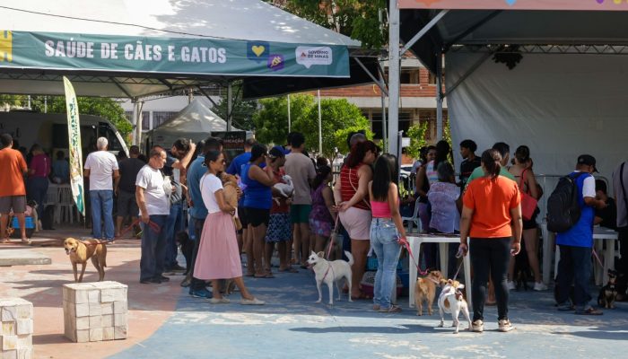 cidades como Uberlândia, Ipatinga, Ubá, Pouso Alegre, Poços de Caldas, Diamantin