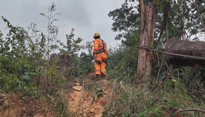 Foto: Divulgação/Corpo de Bombeiros