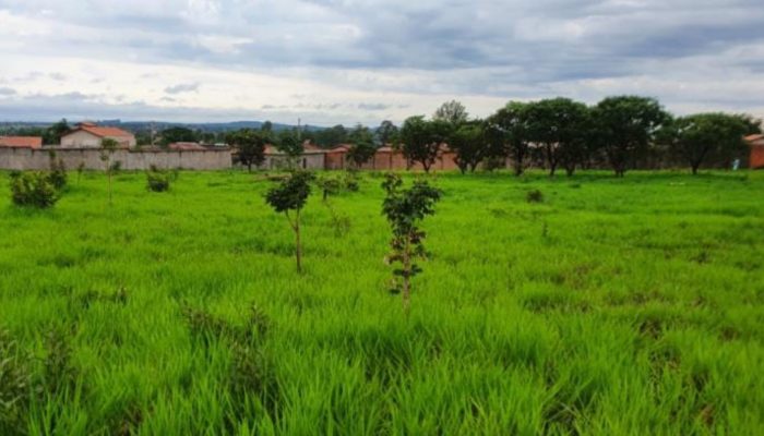 pessoas físicas e jurídicas. Entre os imóveis disponíveis estão um terreno em Pa