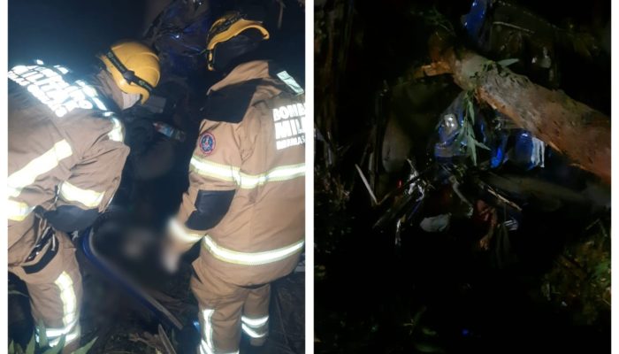 Caminhão caiu em uma ribanceira Corpo de Bombeiros/Divulgação
