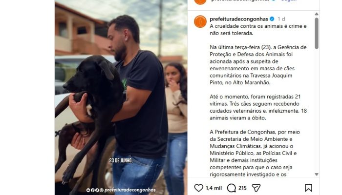 Congonhas investiga brutal envenenamento que vitimou 18 cães comunitários