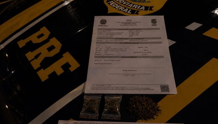 24 horas seguidas em MG Policia Rodoviária Federal/ Divulgação O motorista de um
