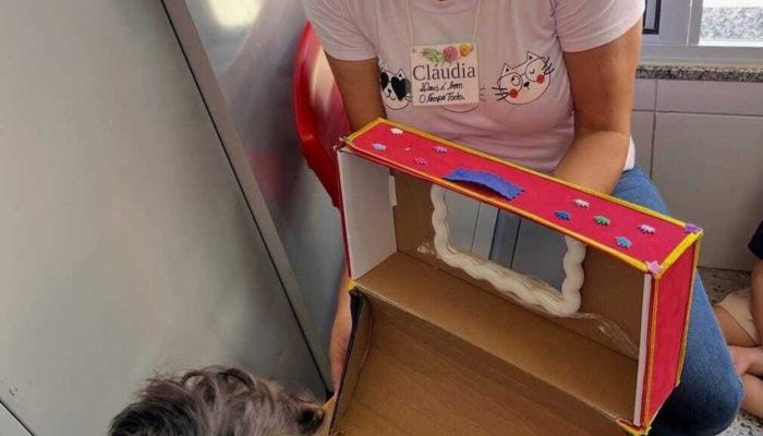 Mulher foi atingida por linha chilena no Residencial Minas Gerais Samu/Divulgação