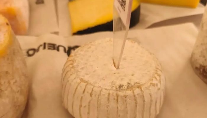 usuários aumenta 46% na MG-050 entre 2025 e 2026 'Suspirou': a história sobre a