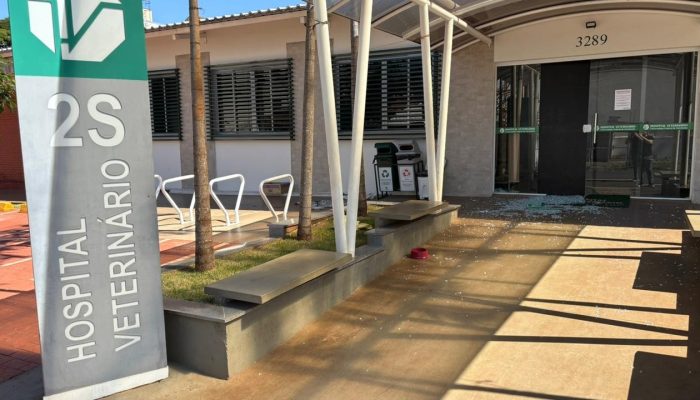 prego que estendeu a mão a veterinário após sofrer descarga elétrica IML do Hospital veterinário confirmou que mortes foram em decorrência de envenenamento por chumbinho João Ricar
