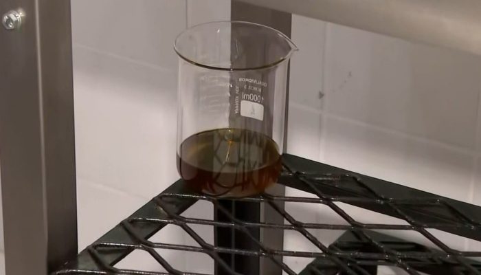 causa do aroma e da cor característicos da bebida. “O projeto tem o principal ob