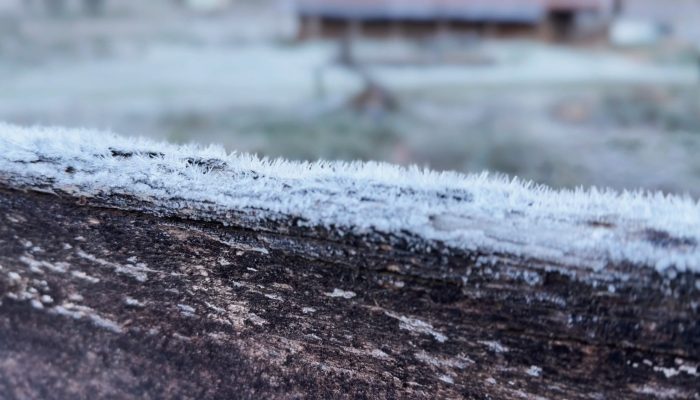 uma fina camada de gelo, cenário típico das manhãs mais frias do inverno na cida