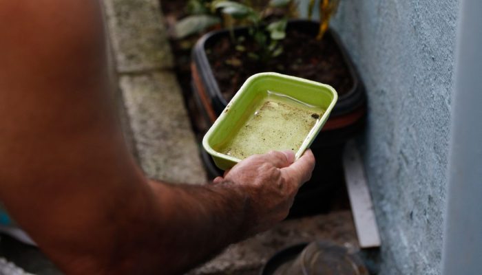 El Niño intensifica alerta para dengue e chikungunya no Brasil