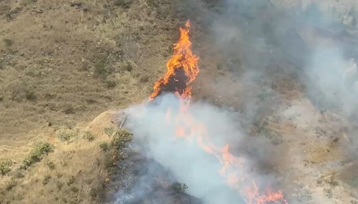 Incêndio de grandes proporções atinge a Serra do Curral em Belo Horizonte