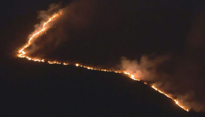 Incêndios em Minas Gerais: mais de 82 mil hectares devastados neste ano e 5 mil inquéritos abertos