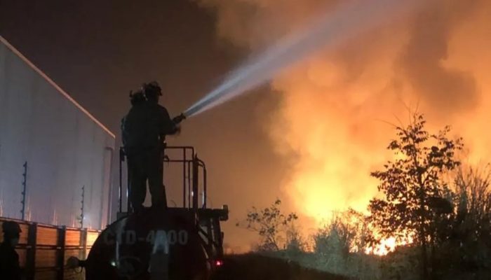 Incêndios em vegetação atingem marca de 6 mil ocorrências em Minas Gerais