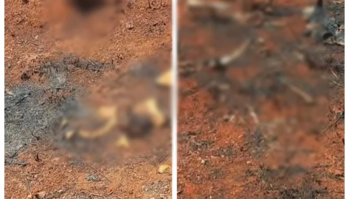 Investigação é aberta após descoberta de ossada humana em terreno de Unaí