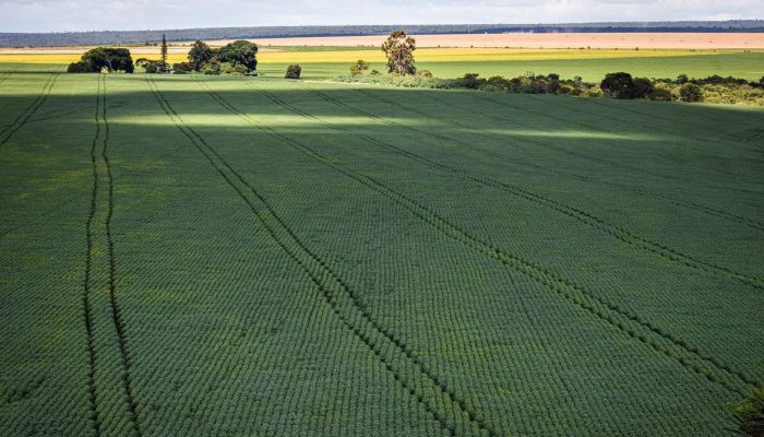 Senado aprova Profert para impulsionar produção nacional de fertilizantes