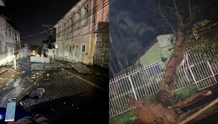Temporal causa destruição e bloqueia vias em Varginha após ventania