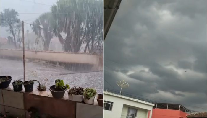 Temporal com granizo causa queda de árvores em Carmo de Minas